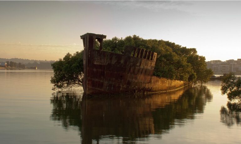 La natura ritorna