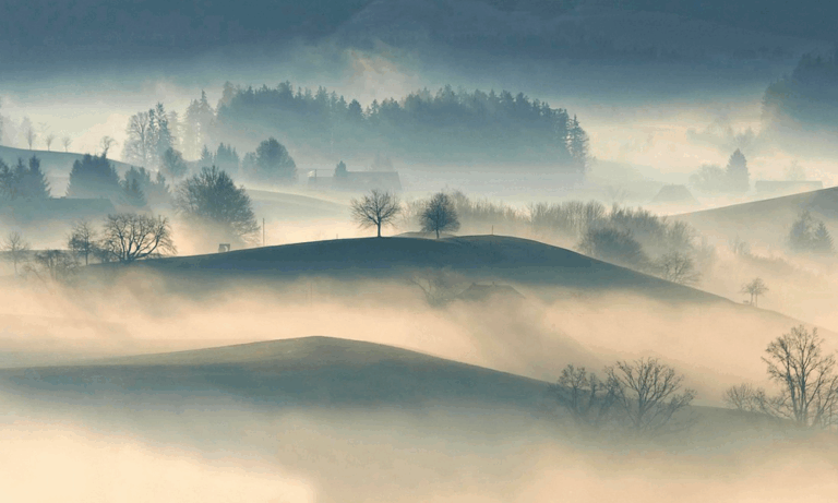 Image by StockSnap from Pixabay