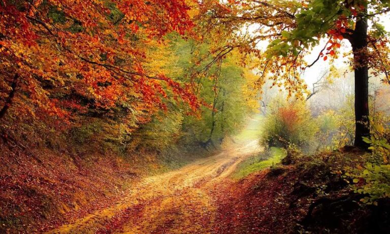 Passeggiando tra i colori dell’autunno